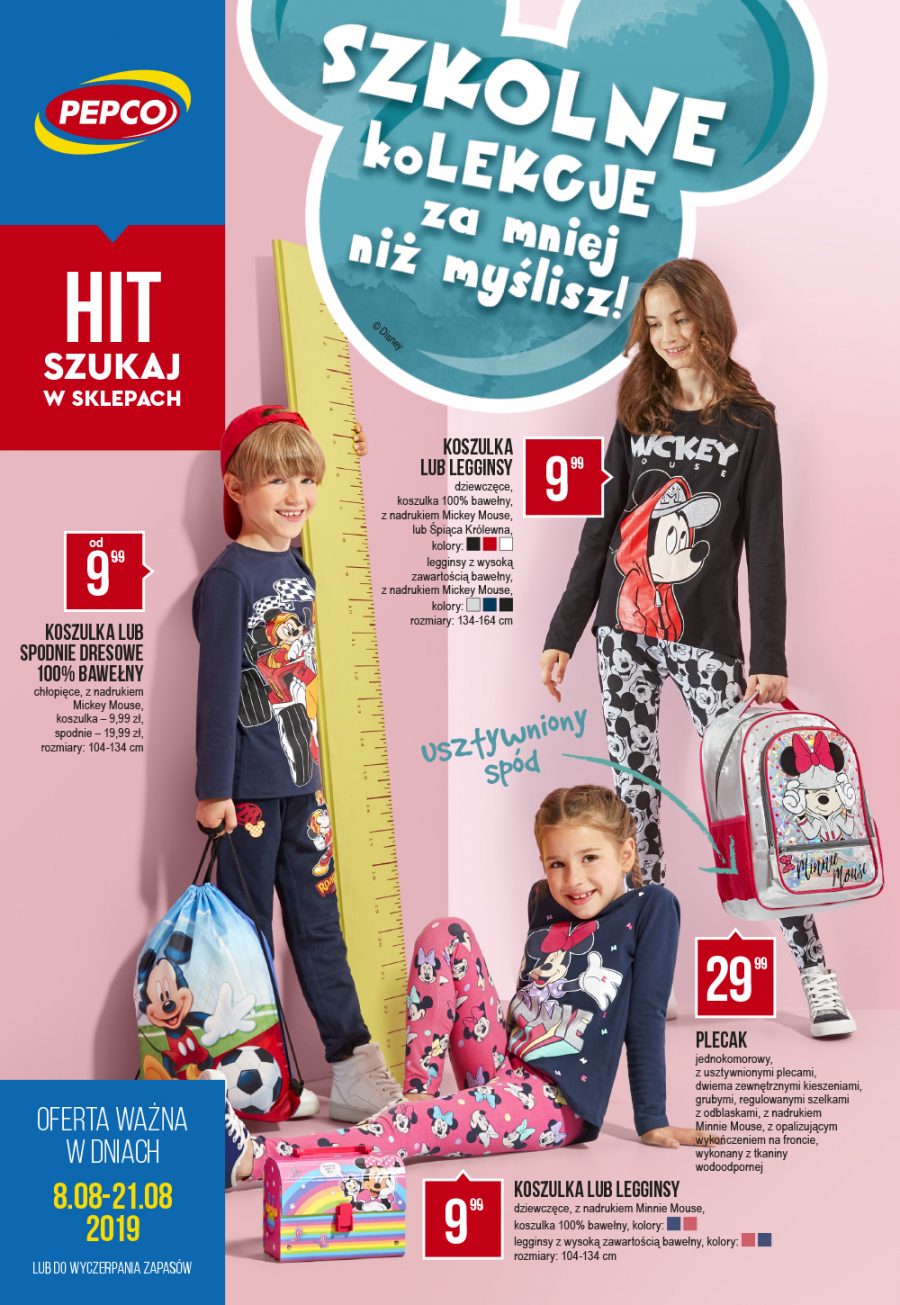 19_07_p45_leaflet_pl_new_web-1